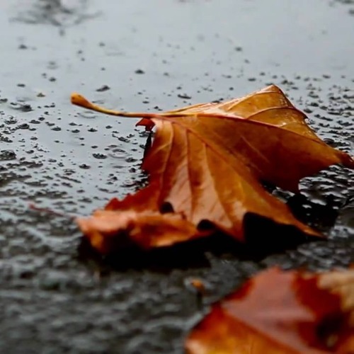 October Rain (Full-Band Demo)