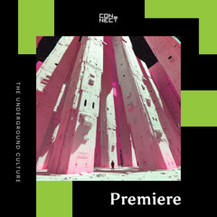 PREMIERE: Randy Seidman feat. Cari Golden - Don't Say [Perspectives Digital]