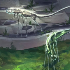 Zooliminology - Glass House