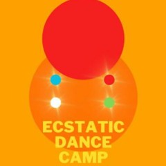 VIBEZWITHGRACE X ECSTATIC DANCE CAMP (tech house teaser)