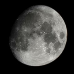 PØI$ØN - WØRK FLØW