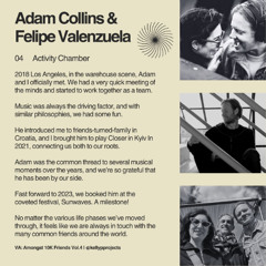 Adam Collins & Felipe Valenzuela - Activity Chamber