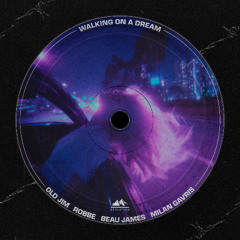 Old Jim, Robbe, Beau James, Milan Gavris - Walking On A Dream (Slowed)