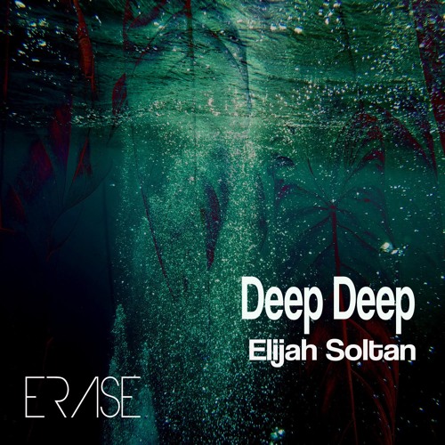 Elijah Soltan - Not Like You [ERASE]