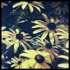 Yellow Jacket (Dusk)
