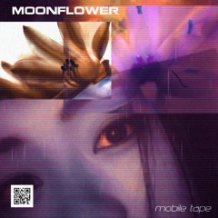 notouch [ BONUS ]