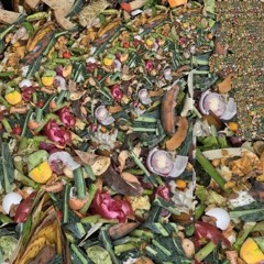 Live at The Nest Feat. Jared Yee // 4/20/19