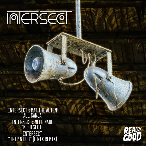 Intersect & Melo.nade - Melosect - RGR#33