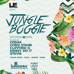 Jungle Boogie DJ Set