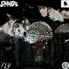 Fly