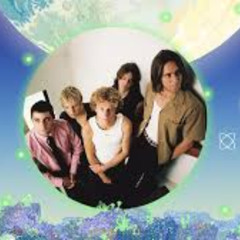 PARCELS - WE LOVE GREEN 2025