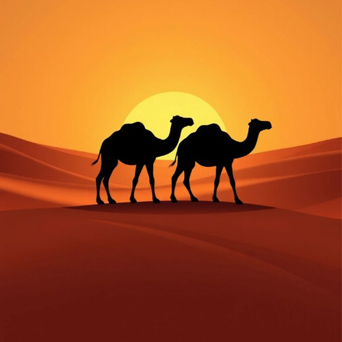Camel