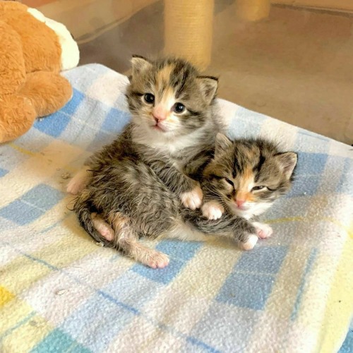 бес типя я немогу уснут ь:((