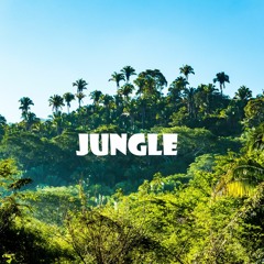 "Jungle" Afroswing x Summer x Raye x Kojo Type Beat (Prod. G Kyro & PinkBamboo)