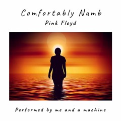 Comfortably Numb by Pink Floyd