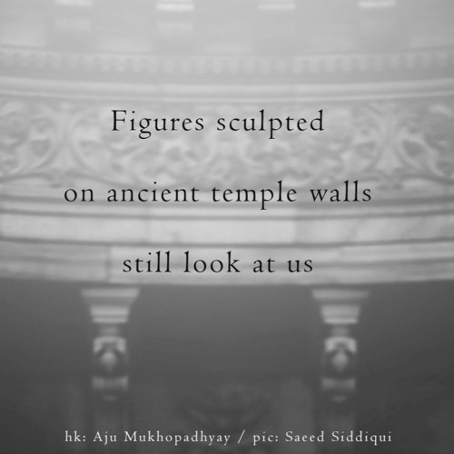 figures [naviarhaiku321]