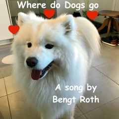 Where do Dogs go - 2025-11-10 14.47