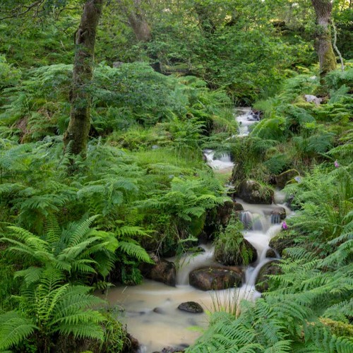 david guetta-   club can't handle me piano cover