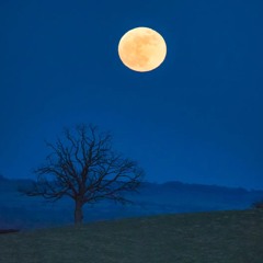insomnia