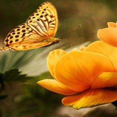 Muhammad Fassah - Ramadan (Lyrics) - (Vocals Only)