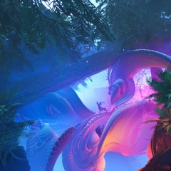 nova connect - forest