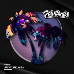 Hawkeys - Piadosa (Streaming Edit) [Palmlands Records]