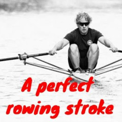 Journey to a perfect stroke