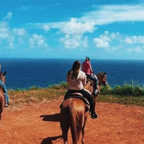 Review Special Price Maui Horseback Adventure At Circle M Ranch With Real Cowboys