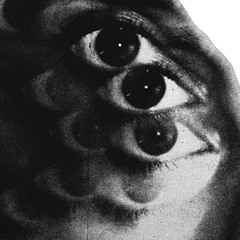 Skrillex & Rick Ross - Purple Lamborghini - fvvs edit