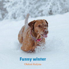 Funny winter
