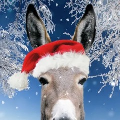 Dominick The Donkey (Slowed Down)