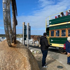 FKISM: Granite Island causeway w/ horse-drawn carriage, Victor Harbor - July 2023
