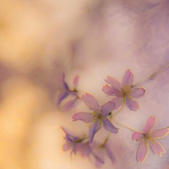 Slow To Cool Down - Xu ZiWei (Youth With You S3).mp3