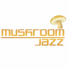 Johnny Deep presents Mushroom Jazz Project live @ Sofala, Goa(DJ SET)
