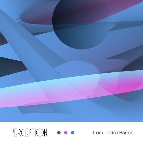Perception from Pedro Barros