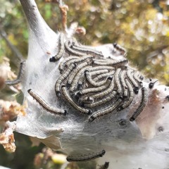 Echei Kinisi w/ Marius Mathiszik (23.06.23)