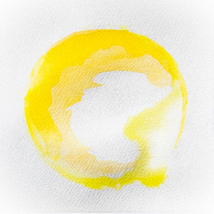 • 𝗙𝗥𝗘𝗘 𝗗𝗟 • Piante Vive - Bamboo [FREEDL24]