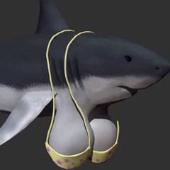 extenedclips.jpg