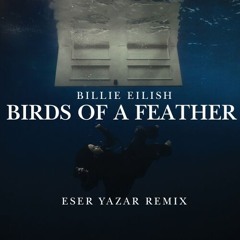 Billie Eilish - BIRDS OF A FEATHER (Eser Yazar Remix) **FREE DOWNLOAD**