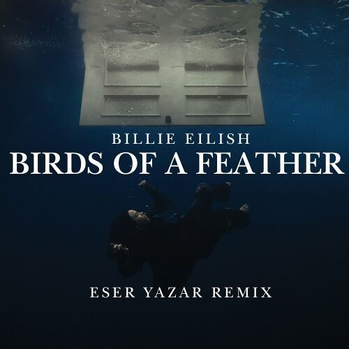 Billie Eilish - BIRDS OF A FEATHER (Eser Yazar Remix) **FREE DOWNLOAD**