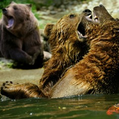 Kick it 'till the World Ends in 2014 (Ft. Team P) by Snowman-the-Jesse & T-revv