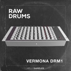 Raw Series Vol.1: Raw Vermona - Demo