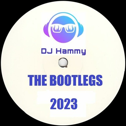 Stream The 125bpm Bootleg Mix 2023 by DJ Hammy Listen online for free