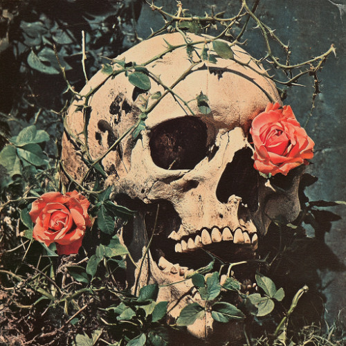 VISCERAL