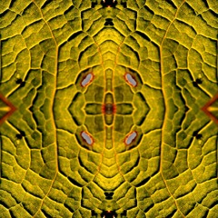 Golden Barley