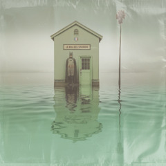 [08] Le Bal Des Salauds • French BLOWsutra Tzigane World Indie LOFI