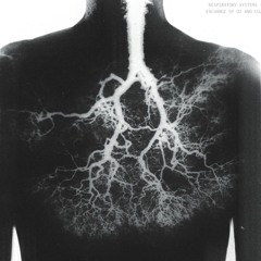 2Breathe (prod. zivo)