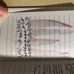 c'est ouf (studies in syncopation)