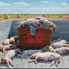 Gamle Krads døde og røg i helved part 1