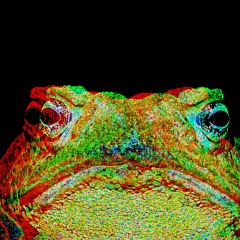 it's getting pretty cold out there